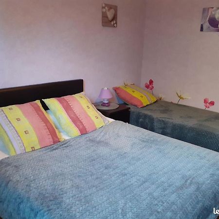 Chambres D'Hotes Les Nefliers Amboise Ngoại thất bức ảnh